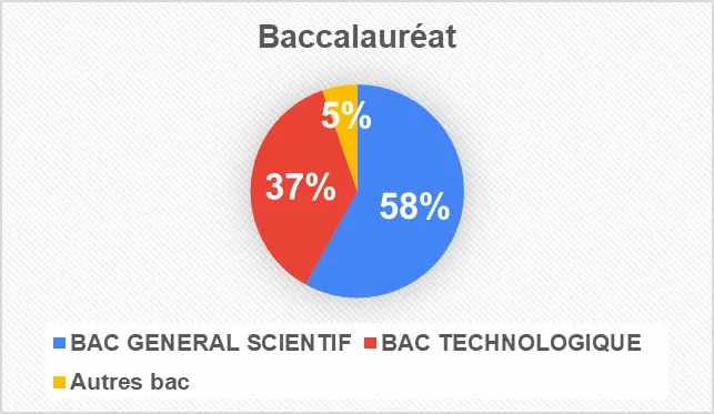 Figure 2 – Types de baccalauréats détenus par les étudiants de 1ère année.